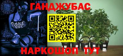 СК Камышлов