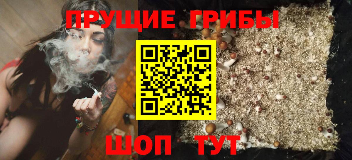 Псилоцибиновые грибы мицелий  Вход с VPN  Кузнецк 