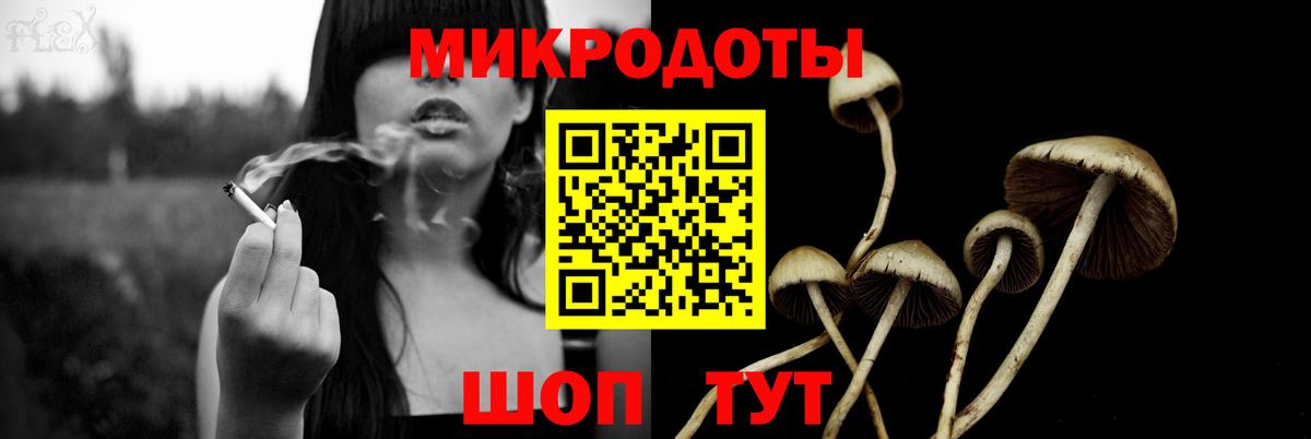 LSD-25 Кузнецк